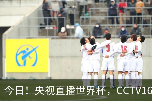 今日！央视直播世界杯，CCTV16转中超，网络转大连鲲城+可为+U17中国男篮+F1等