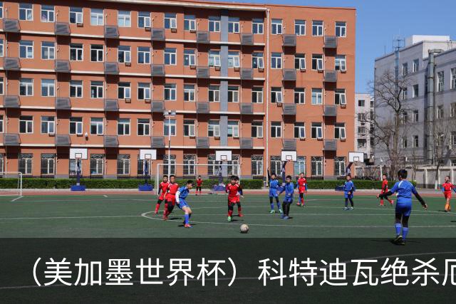 （美加墨世界杯）科特迪瓦绝杀厄瓜多尔 瑞典5:1大胜突尼斯
